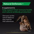 PRO PLAN Sumpliroma Diatrofis Cat Adult Natural Defences Supplement Skoni 60gr